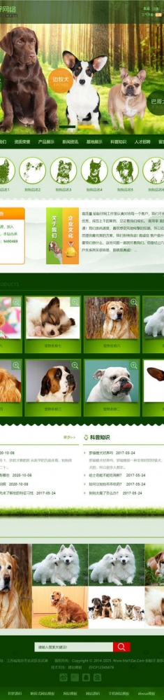 （带手机版数据同步）宠物饲养育种机构网站源码 猫狗宠物机构类网站织梦模板