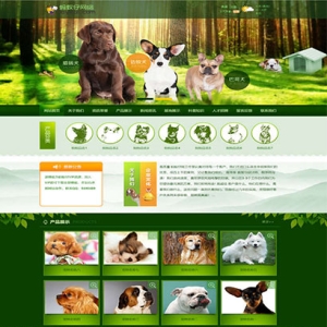 （带手机版数据同步）宠物饲养育种机构网站源码 猫狗宠物机构类网站织梦模板